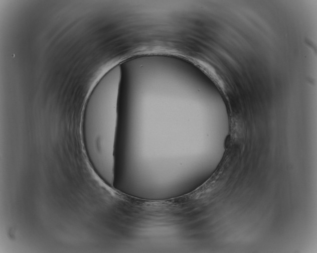 X0000092110863200709121128