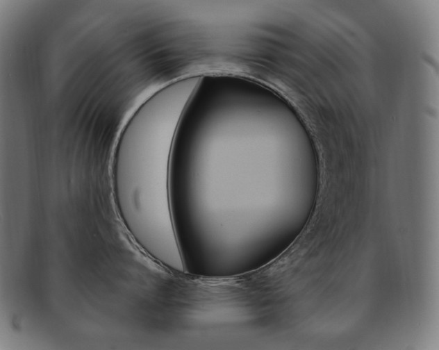 X0000092110864200709121128