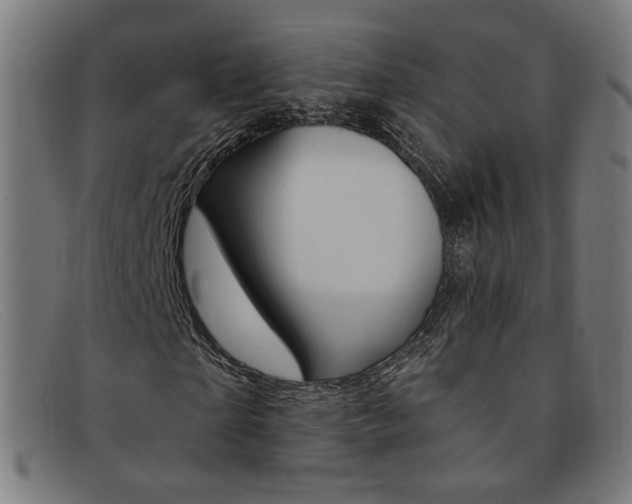 X0000092110865200709121128