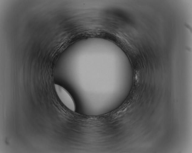 X0000092110867200709121128