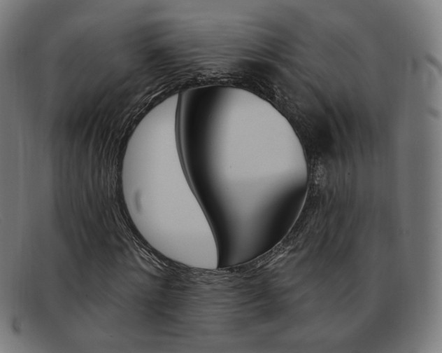 X0000092110868200709121127