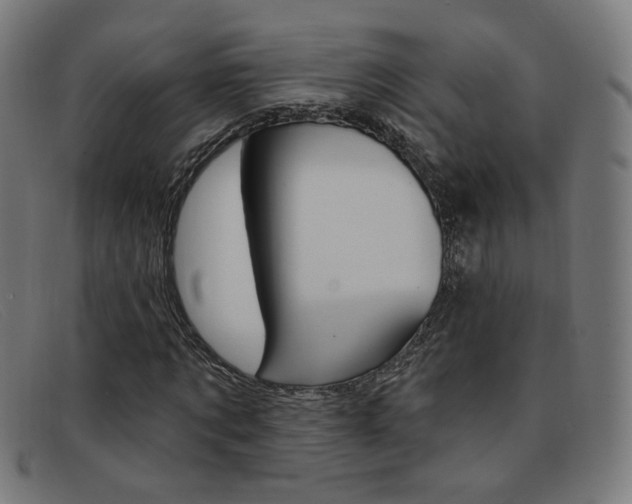 X0000092110869200709121127