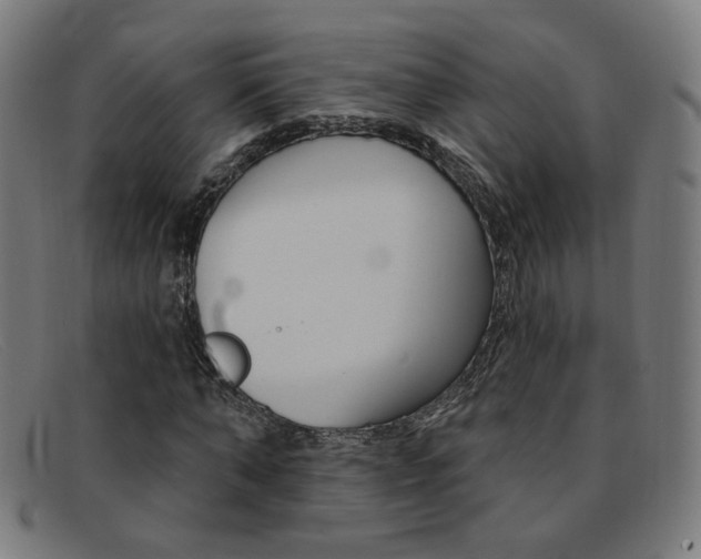 X0000092110870200709121127