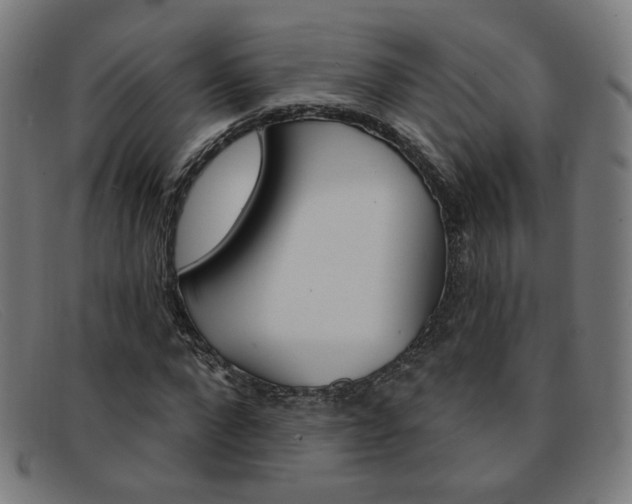 X0000092110872200709121127