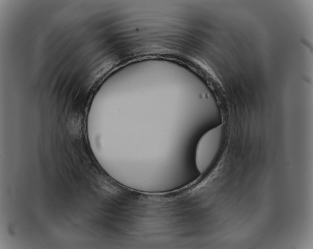 X0000092110873200709121127