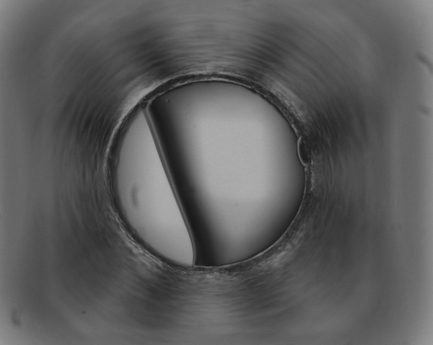 X0000092110876200709121127
