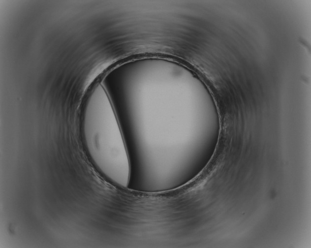X0000092110877200709121127