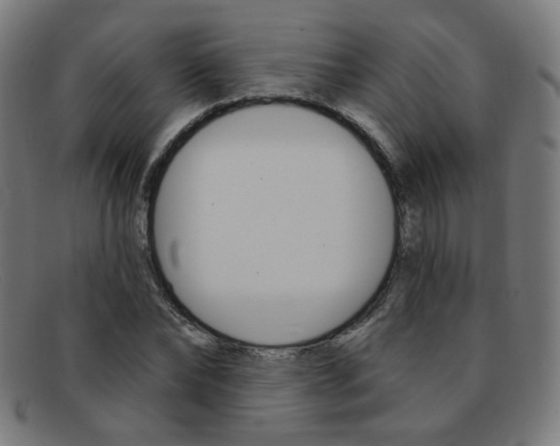 X0000092110878200709121127