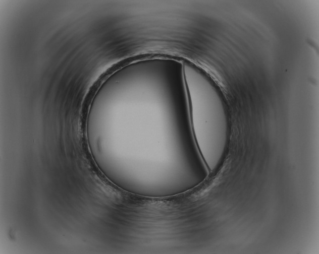 X0000092110880200709121127