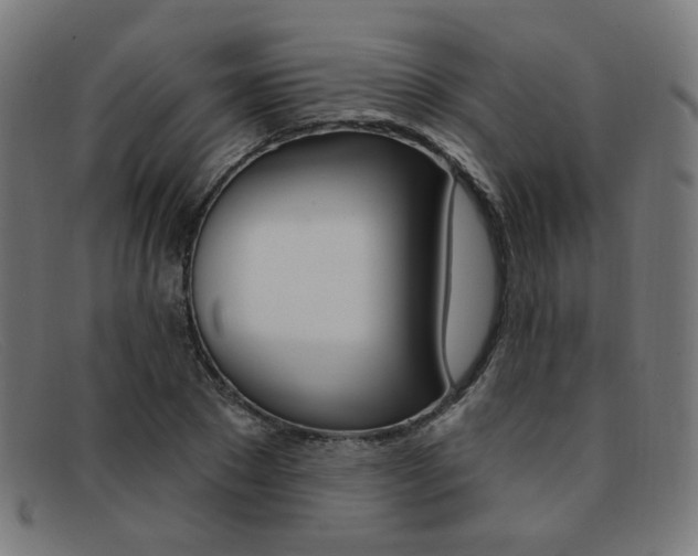 X0000092110881200709121127