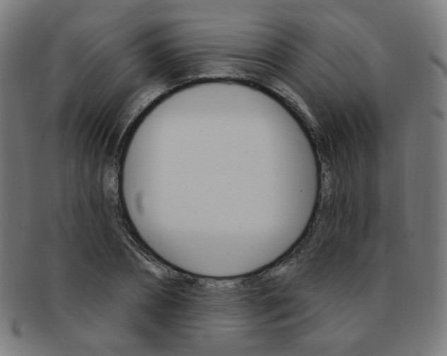 X0000092110882200709121127