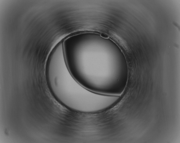 X0000092110884200709121127