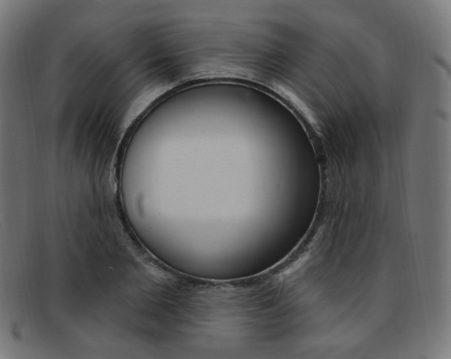 X0000092110885200709121127