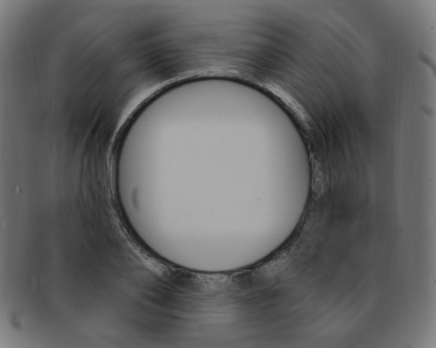 X0000092110886200709121127