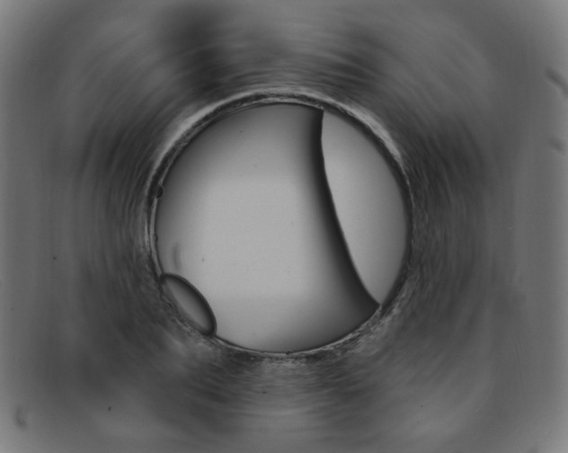 X0000092110887200709121127