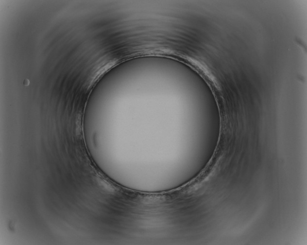 X0000092110889200709121127
