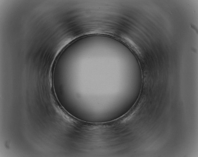 X0000092110892200709121127