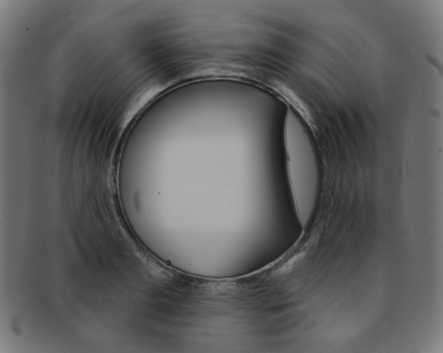 X0000092110893200709121127