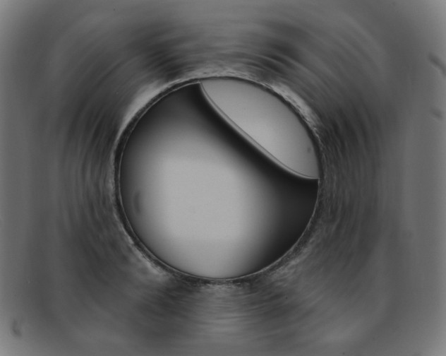 X0000092110894200709121127