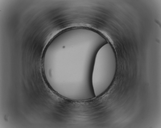 X0000092110895200709121127