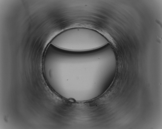 X0000092110896200709121127