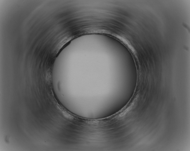 X0000092110897200709121127