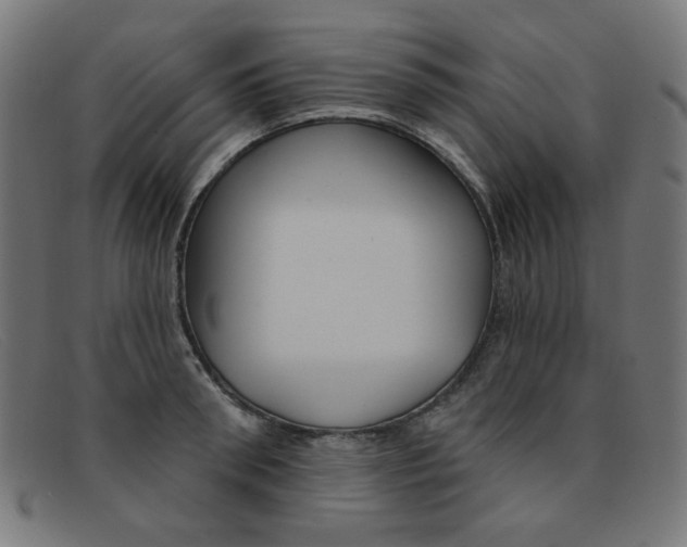 X0000092110898200709121127
