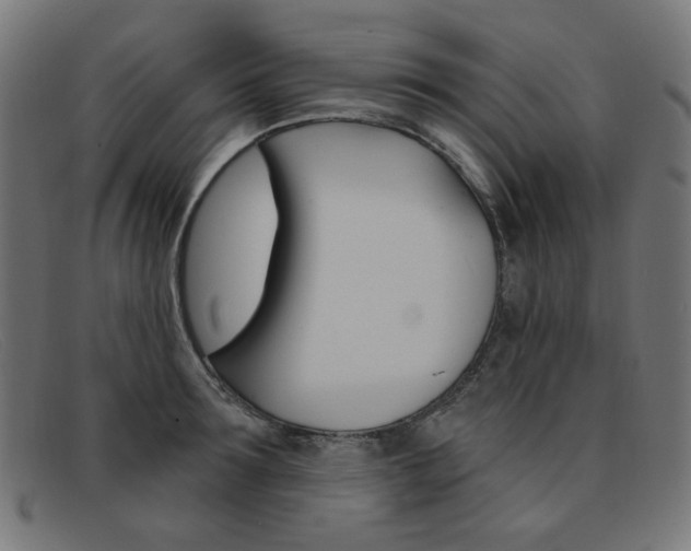 X0000092110899200709121127