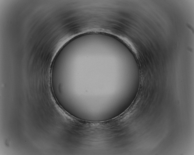 X0000092110903200709121127