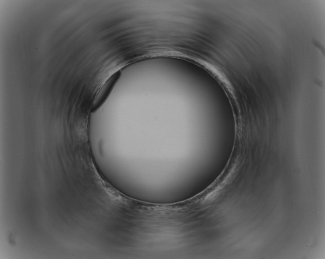 X0000092110905200709121127