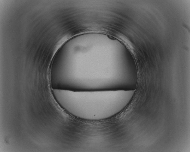 X0000092110907200709121127