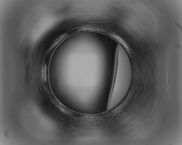 X0000092110910200709121127