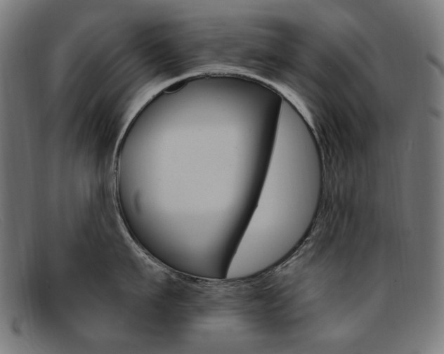 X0000092110911200709121127
