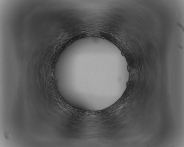 X0000092110913200709121126