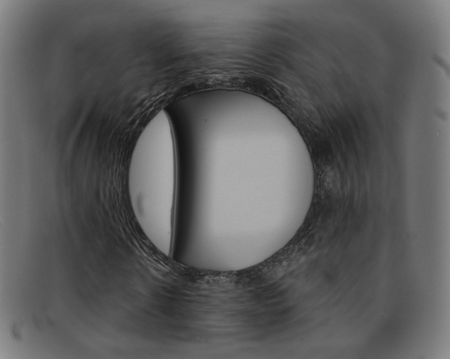 X0000092110914200709121126