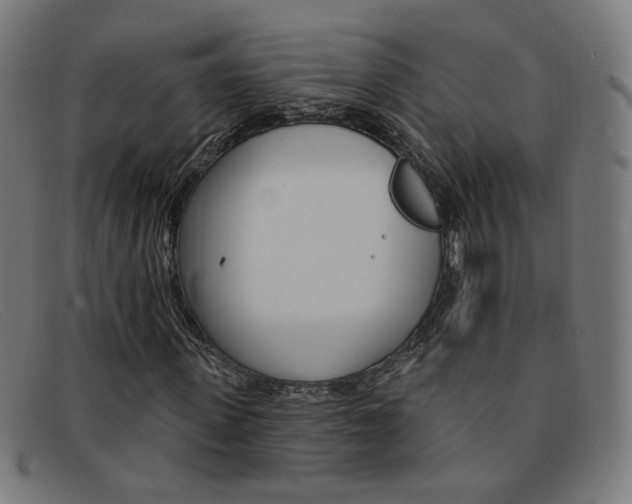 X0000092110915200709121126