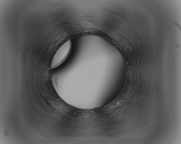 X0000092110916200709121126