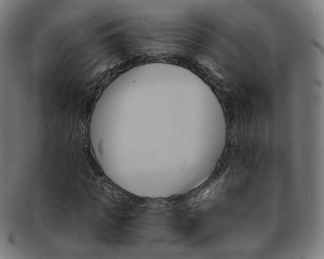 X0000092110917200709121126