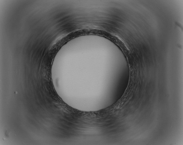 X0000092110919200709121126