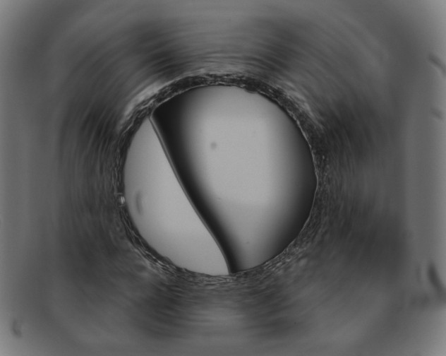 X0000092110920200709121126