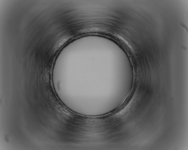 X0000092110921200709121126