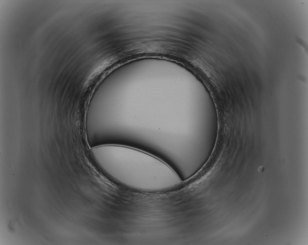 X0000092110922200709121127