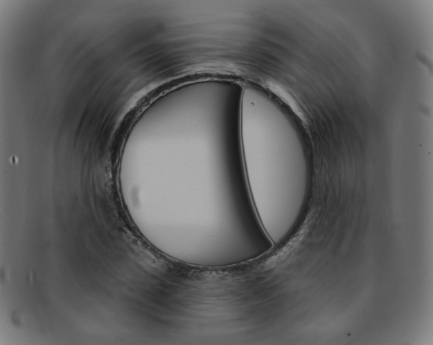 X0000092110923200709121127