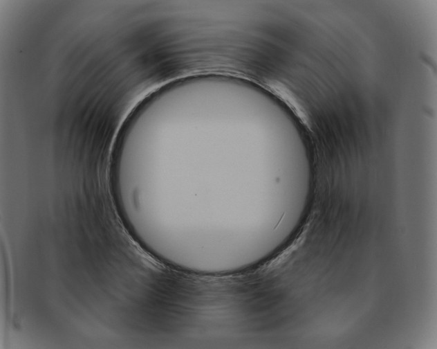 X0000092110924200709121127