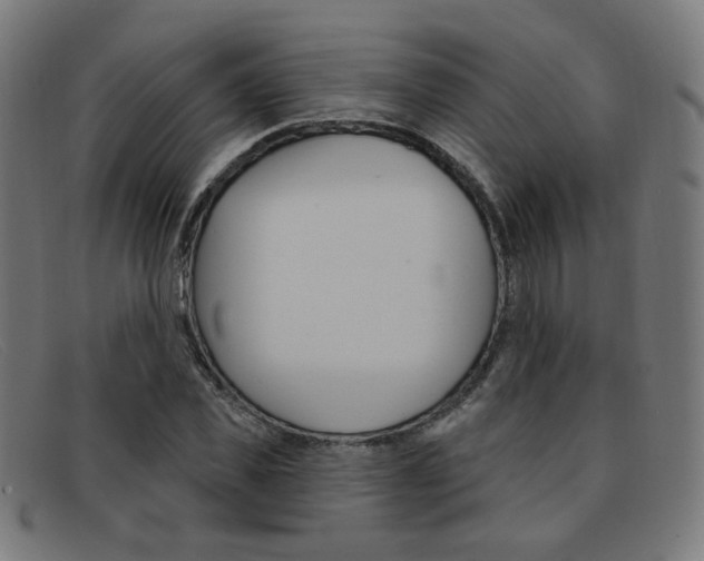 X0000092110925200709121127