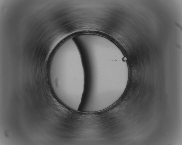 X0000092110926200709121127