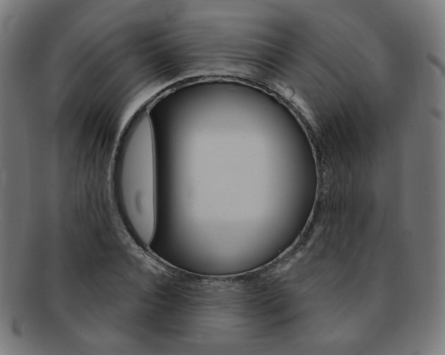 X0000092110928200709121127