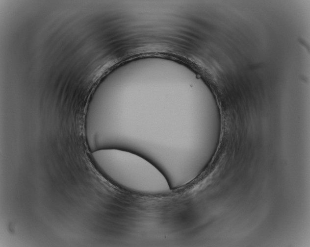 X0000092110929200709121127