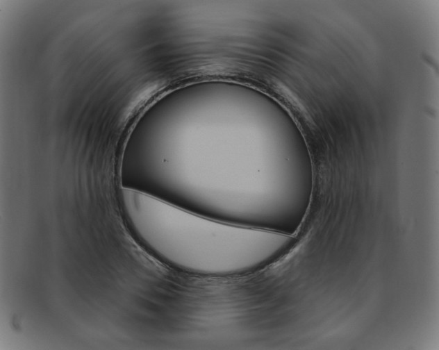 X0000092110930200709121127
