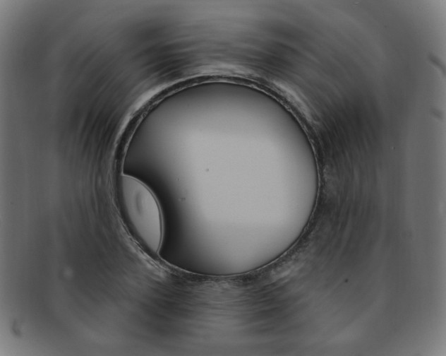 X0000092110931200709121127